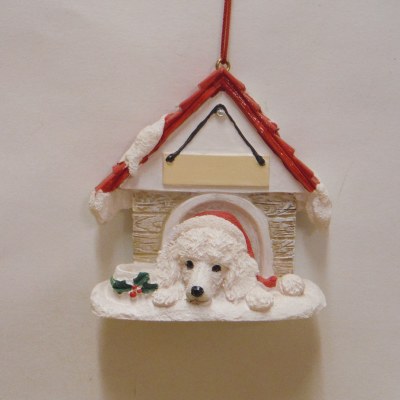 POODLE