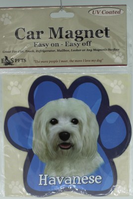 HAVANESE MAGNET