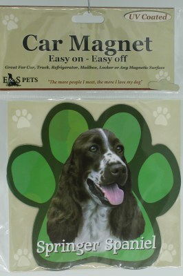 SPRINGER SPANIEL