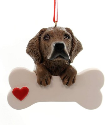 CHOCOLATE LAB WITH BONE