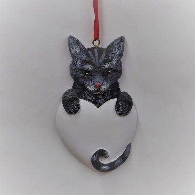 TABBY GRAY CAT