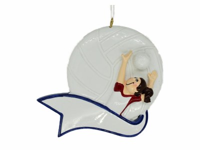 VOLLEYBALL SERVE GIRL