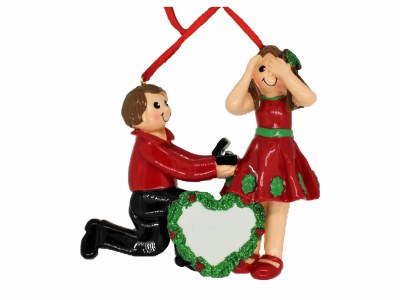 THE PROPOSAL