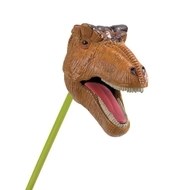 BROWN T-REX SNAPPER