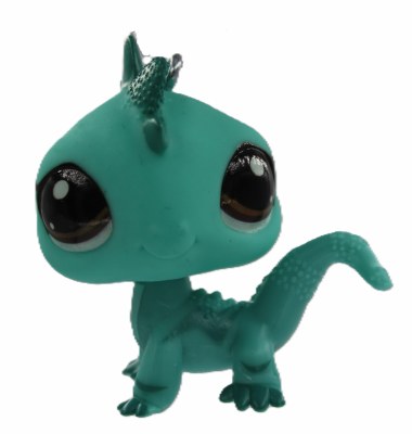 TEAL IGUANA