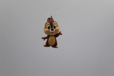 CHIP