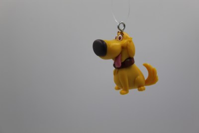 DUG