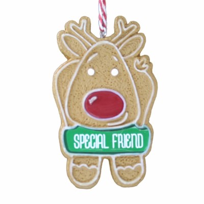 SPECIAL FRIEND