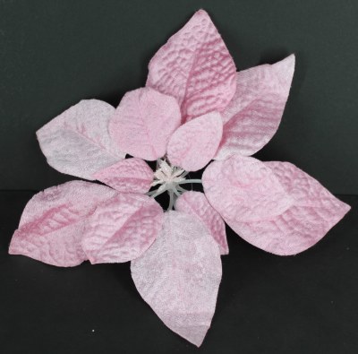 PINK POINTSETTIA