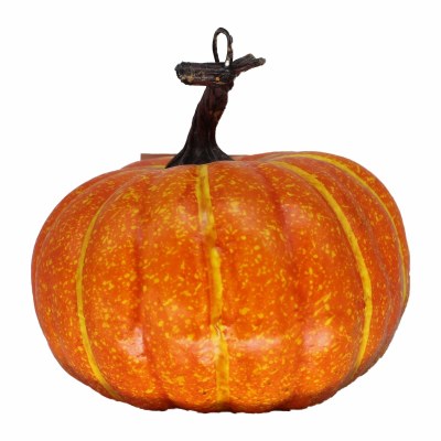 FALL FRUIT PUMPKIN ORANGE