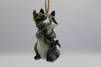 RACCOON