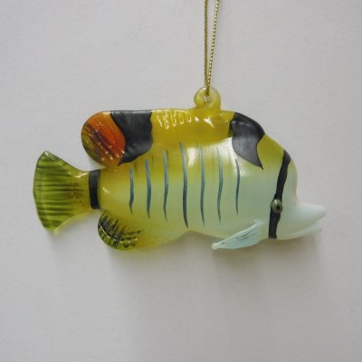 TROPICAL GLASS FISH