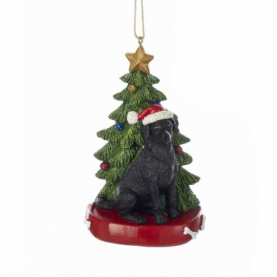 BLACK LAB  WITH TREE