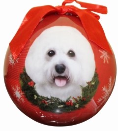 BICHON FREISE BALL