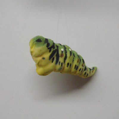 SWALLOWTAIL CATEPILLER