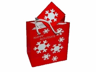 12 PK SNOWFLAKE GIFT BAGS