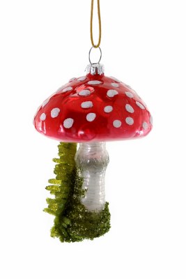 HIGH GROVE MUSHROOM