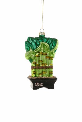 LUCKY BAMBOO