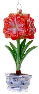 PINK CHRISTMAS AMARYLLIS