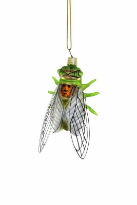 CICADA