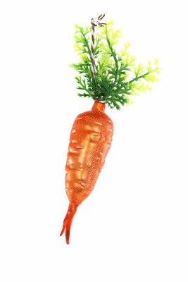 CARROT