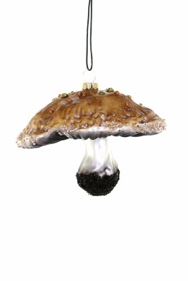 FORAGED MUSHROOM