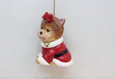 YORKIE DRESSED IN SANTA COAT