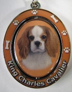 KING CHARLES CAVALIER
