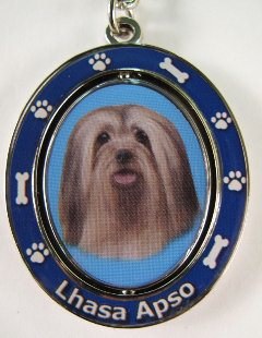 LHASA APSO