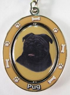 PUG, BLACK
