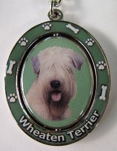 WHEATEN TERRIER SOFT COAT