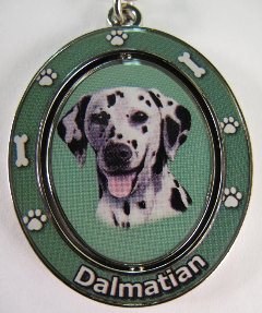 DALMATIAN
