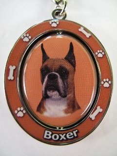 BOXER CROPPED