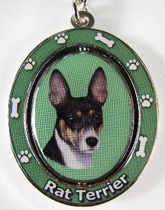 RAT TERRIER