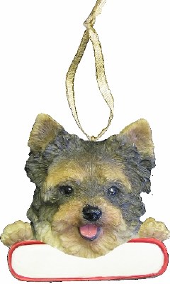 YORKIE PUPPY WITH NAME PLATE