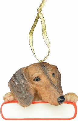 DACHSHUND WITH NAME PLATE