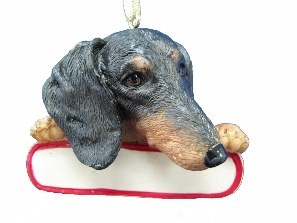 DACHSHUND WITH NAME PLATE