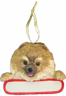 POMERANIAN WITH NAME PLATE