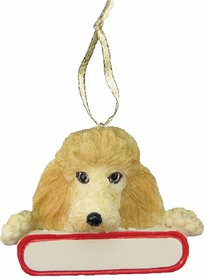 APRICOT POODLE WITH NAME PLATE