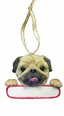 PUG WITH NAME PLATE