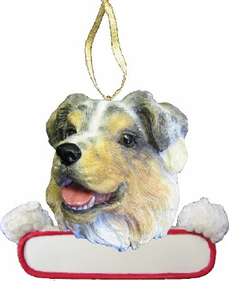 AUSTRALIAN SHEPHERD WITH NAME PLATE