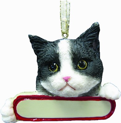 BLACK AND WHITE CAT WITH NAME PLATE
