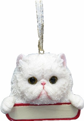 PERSIAN CAT WITH NAME PLATE