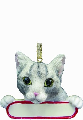 SILVER TABBY WITH NAME PLATE