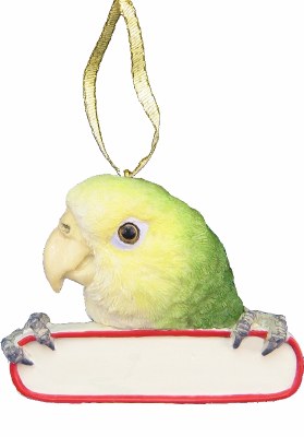 AMAZON PARROT