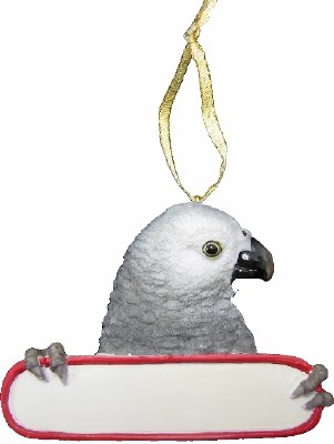 AFRICAN GREY BIRD WITH NAME PLATE