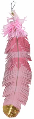 PAINTED FEATHER