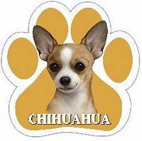CHIHUAHUA, TAN CAR MAGNET
