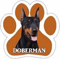 DOBERMAN WITH CROPPED EARS