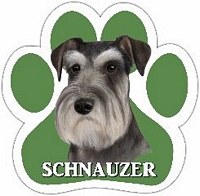UNCROPPED SCHNAUZER MAGNET